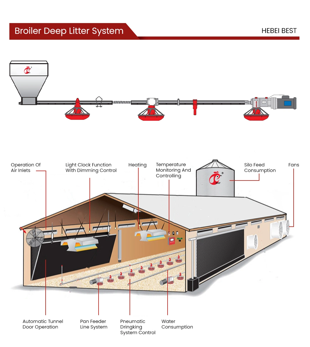 Bestchickencage Broiler Deep Litter System Non-Standard Customization China Cold Galvanized Material Recycling Nutrients Deep Litter System Manufacturer