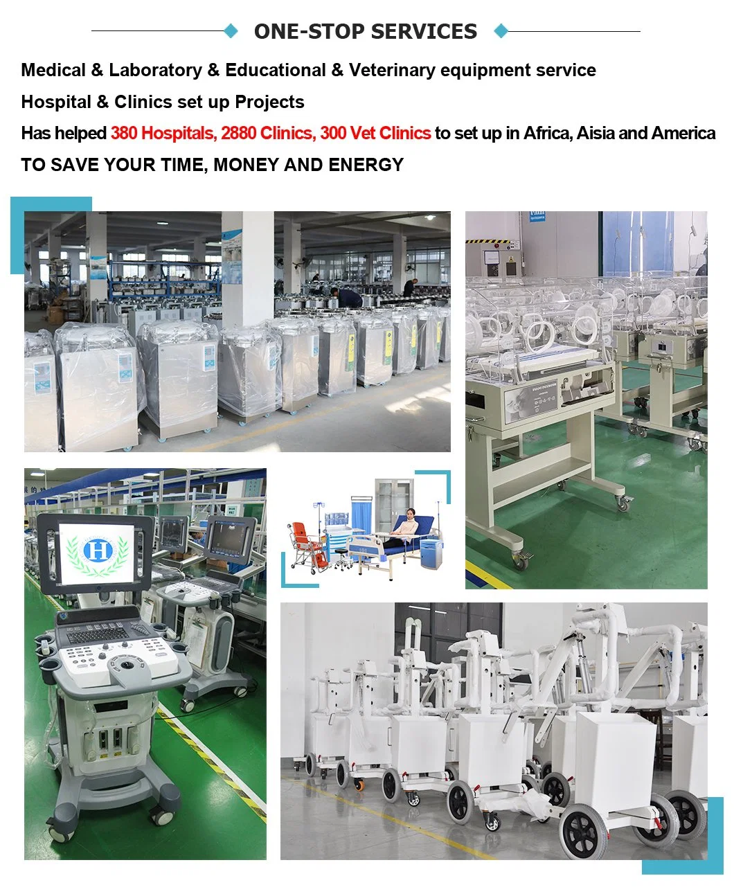 Hot Sale High Frequency Veterinary Digital Animal X-ray Equipment