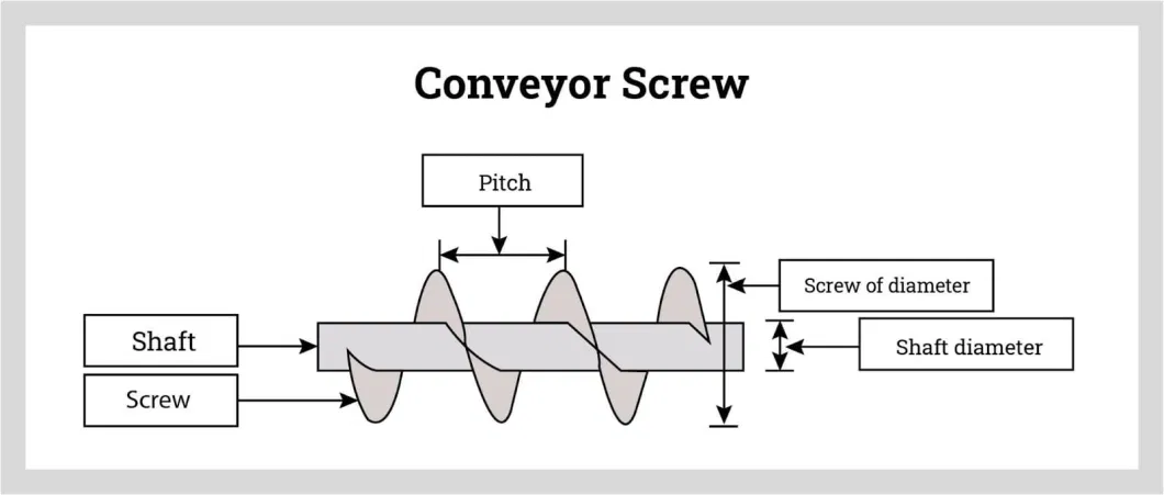 Stainless Steel Auger Screw Conveyor