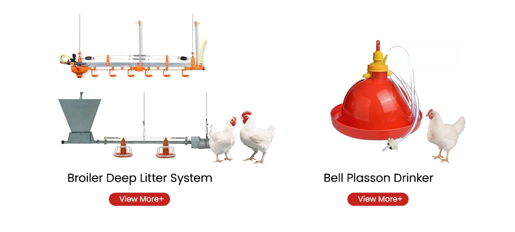 Bestchickencage Broiler Deep Litter System OEM Custom China Yellow and Red Deep Litter Systems Suppliers