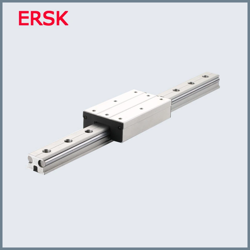 Sample Customization Anti Reverse Bearing Sgr20n CNC Linear Guide Rail