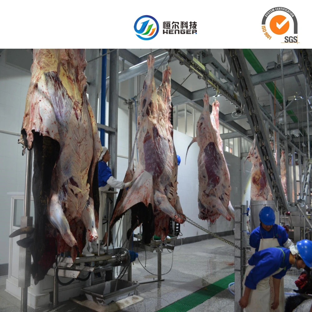 Halal Slaughter Machine for Cattle Cow Sheep Goat Slaughterhouse