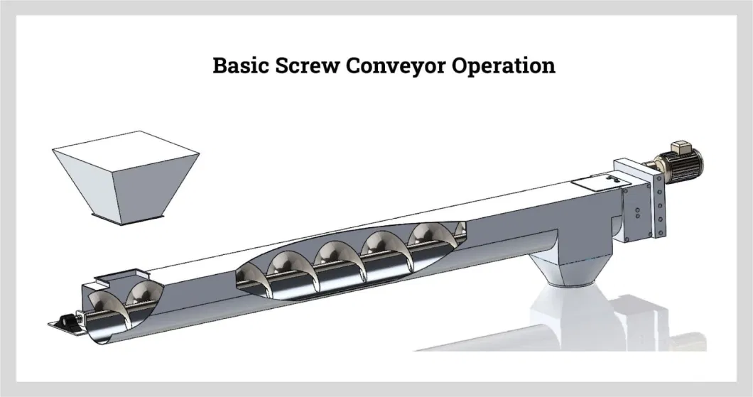 Stainless Steel Auger Screw Conveyor