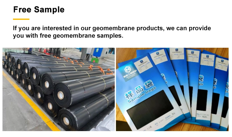 Geomembrane Geomembrane HDPE/LDPE Geomembrane Factory