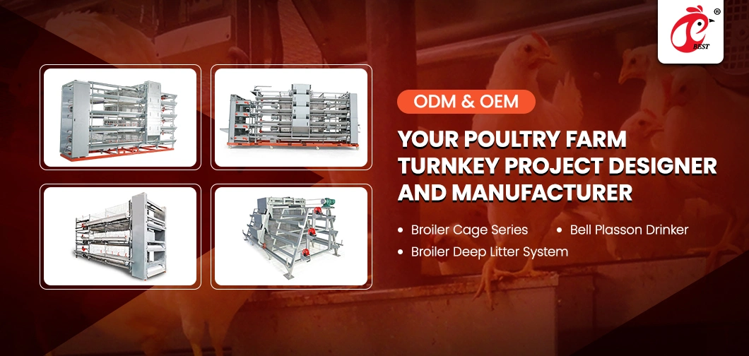 Bestchickencage Broiler Deep Litter System High-Quality China Good Cleaning Result Poultry Broiler House Deep Litter System Suppliers