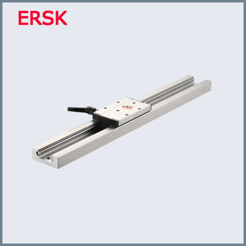 Sample Customization Anti Reverse Bearing Sgr20n CNC Linear Guide Rail