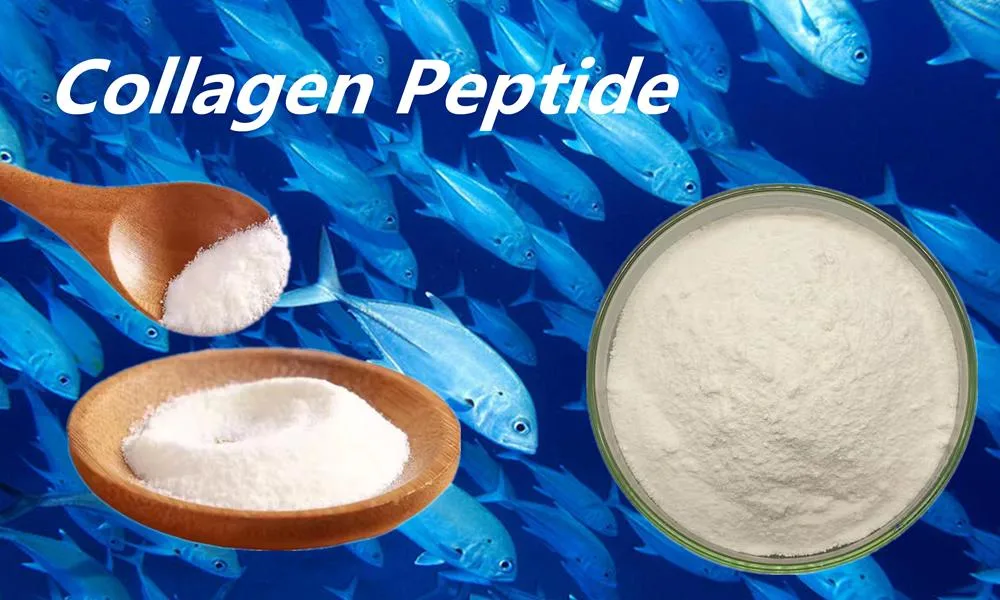 Factory Supply Type II Collagen Peptide for Food