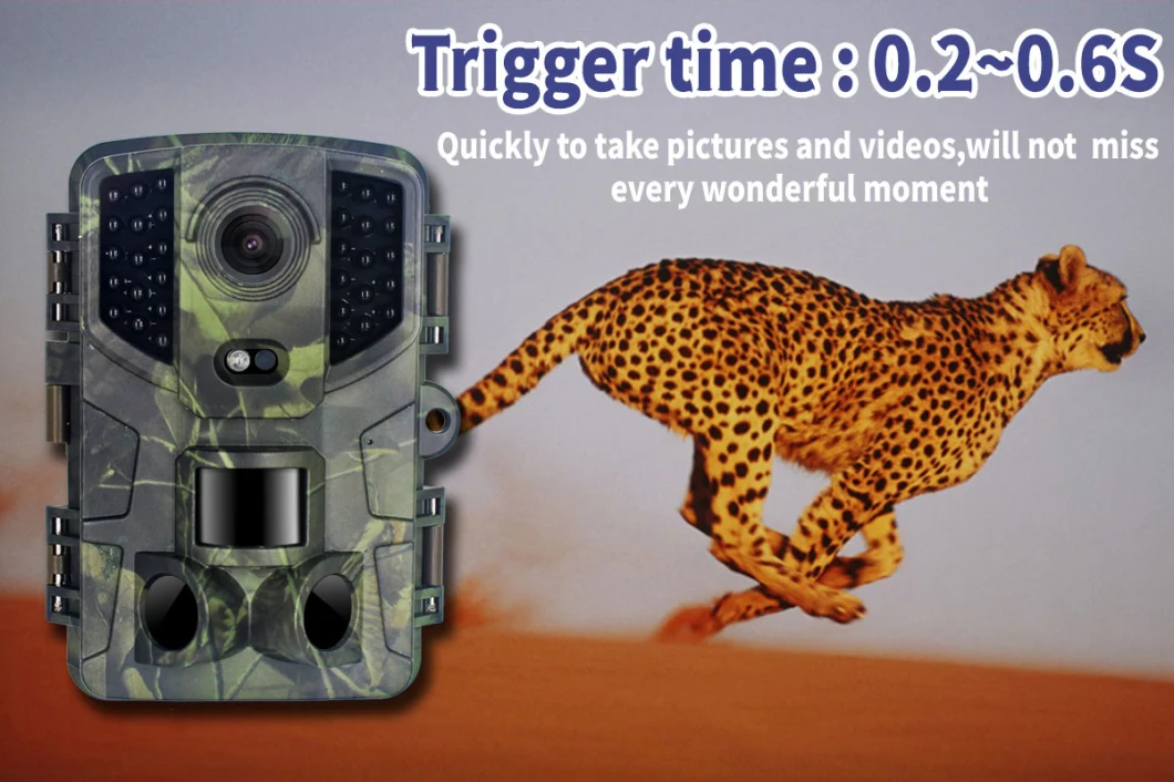 20MP / 16MP / 12MP/8MP 1080P Wildlife Trail Digital Scouting Hunting Camera Night Vision Bright Animal Camera (PR800)