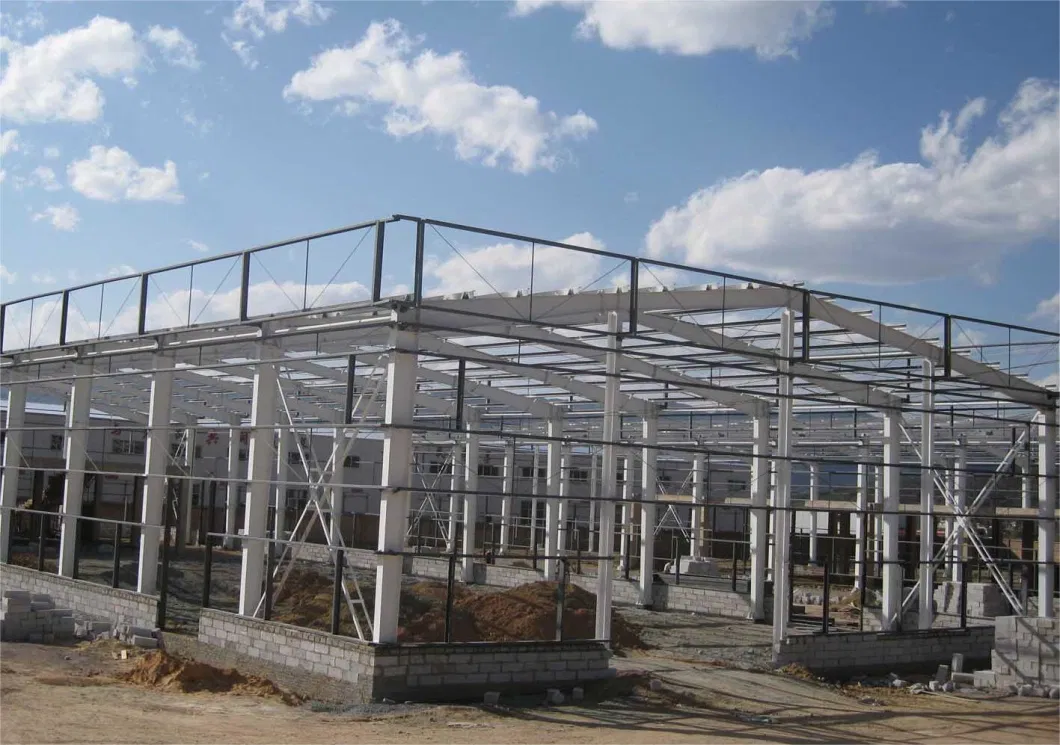 Steel Structures Design and Behavior Steel Structure Workshop Building Construction Warehouse