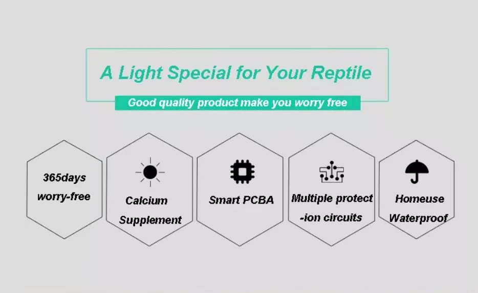 Reptile Climbing Pet Thermostatic Lizard Tortoise Spider Snake Pet Hedgehog Reptile Lamp