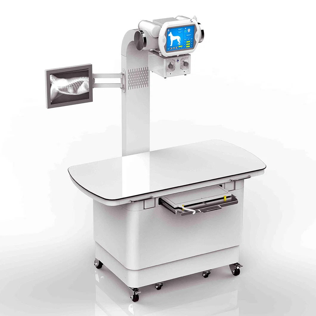 Vet Medical Xray System High Frequency Digital Veterinary X-ray Machine with Flat Panel Detector