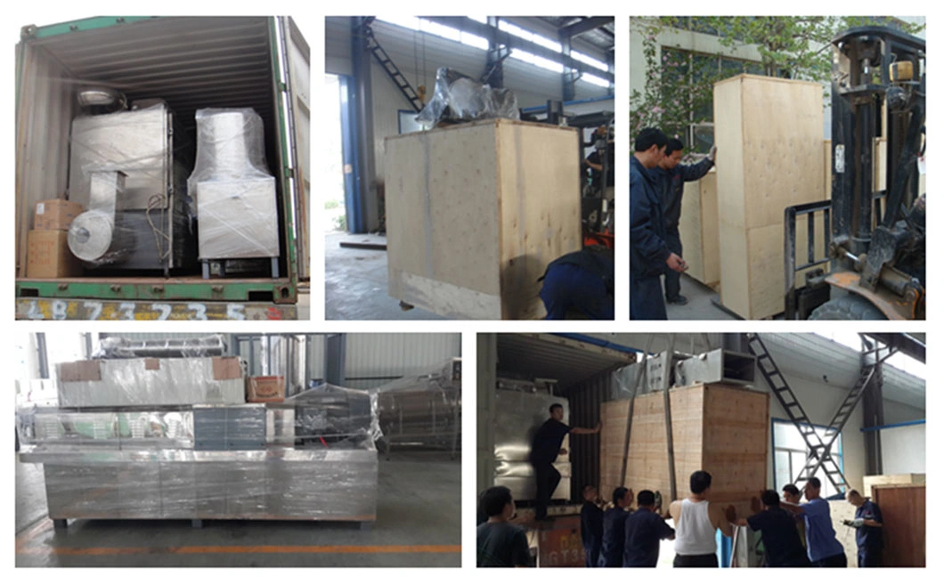 Box Type High Speed Microwave Vacuum Dryer for Chinese Medicinal Materials