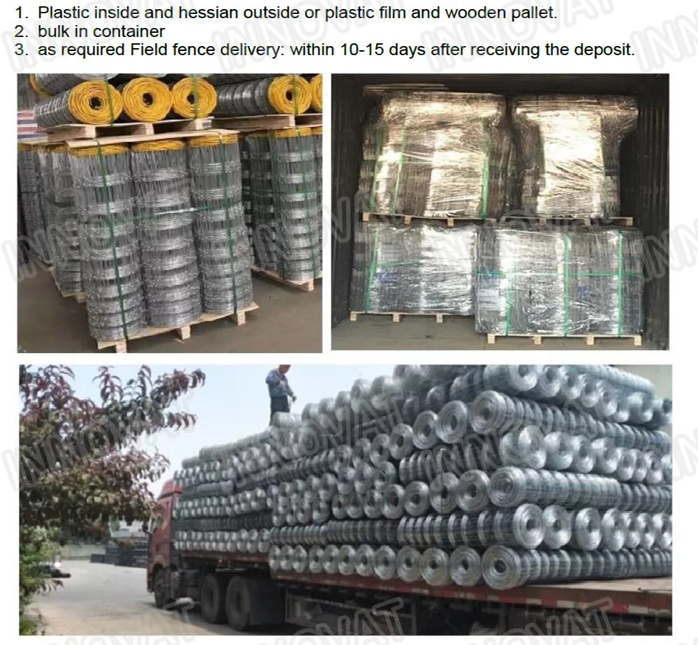 Good Quality Hot Dipped Galvanized Sheep Wire Cheap Cattle Field Fence Farm Fencing Supplier Wire Mesh Cattle Fence