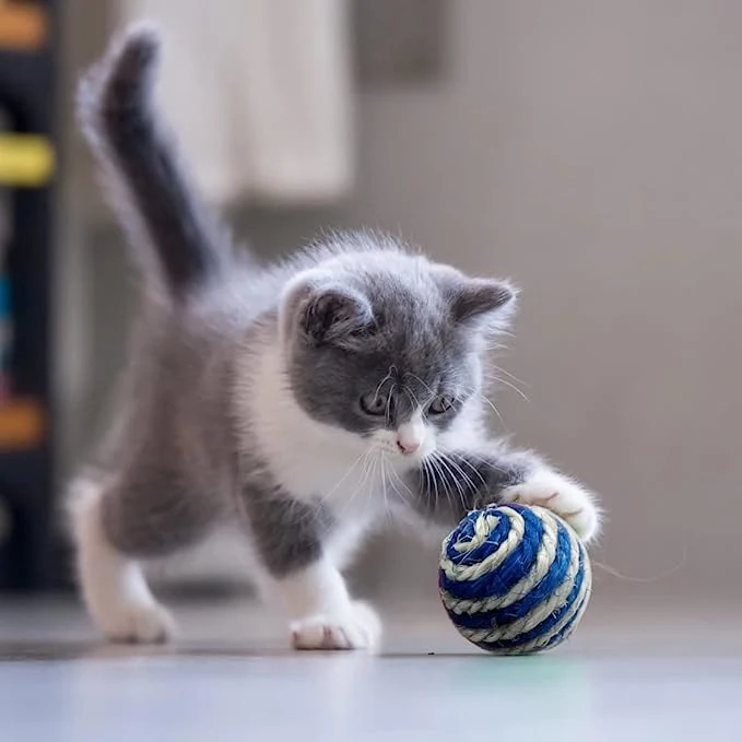 Sisal Scratcher Cat Toy Ball with Sound