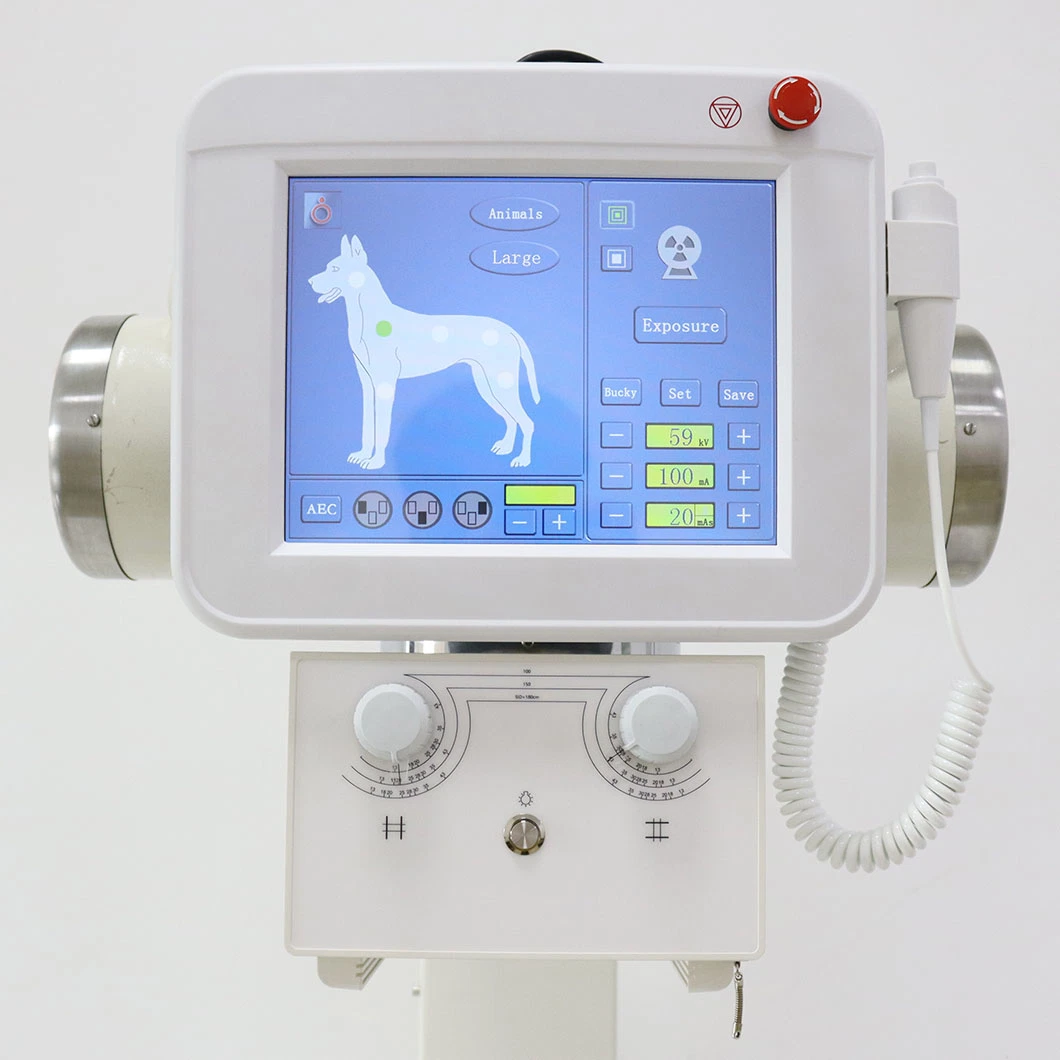 Hot Sale High Frequency Veterinary Digital Animal X-ray Equipment