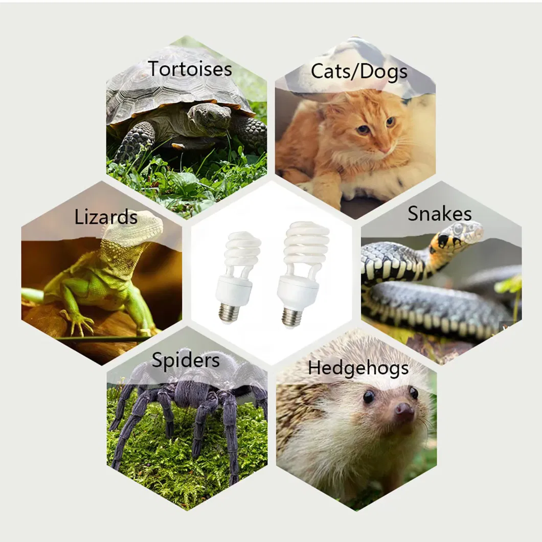 New Style Climbing Pet Hedgehog, Tortoise, Lizard Sun Back Lamp, UVB Bulb, Calcium Supplement, Tortoise, Chameleon, Fleshy Reptile Lamp