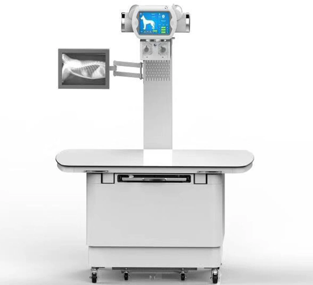 Veterinary X Ray 300mA 500mA Fixed Medical X-ray Equipment Digital Xray Machine