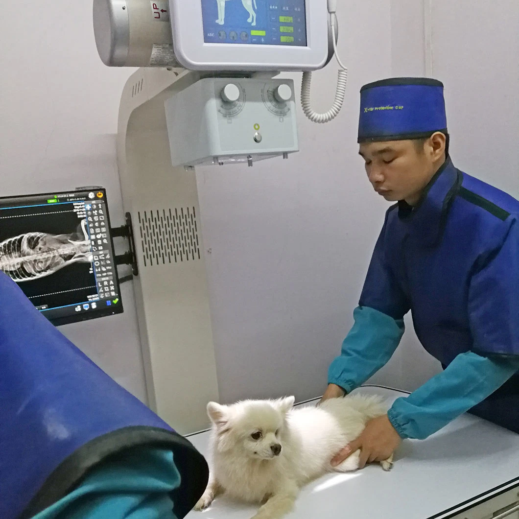 Hot Sale High Frequency Veterinary Digital Animal X-ray Equipment