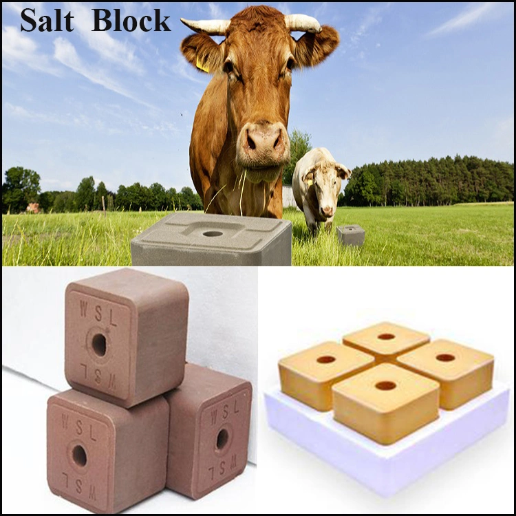 Top Manufacturer of Animal Mineral Salt Lick Block Press Supporting Mould