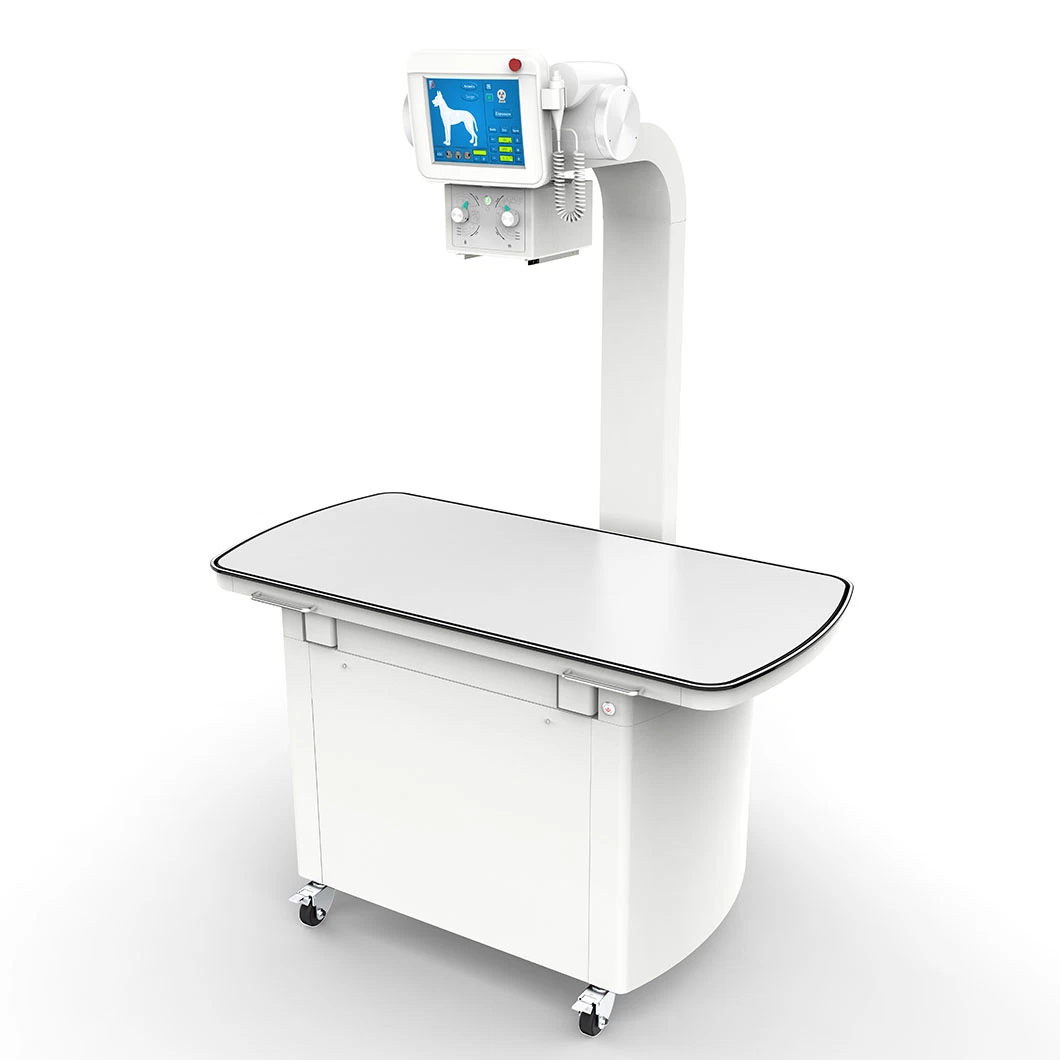 Hot Sale High Frequency Veterinary Digital Animal X-ray Equipment