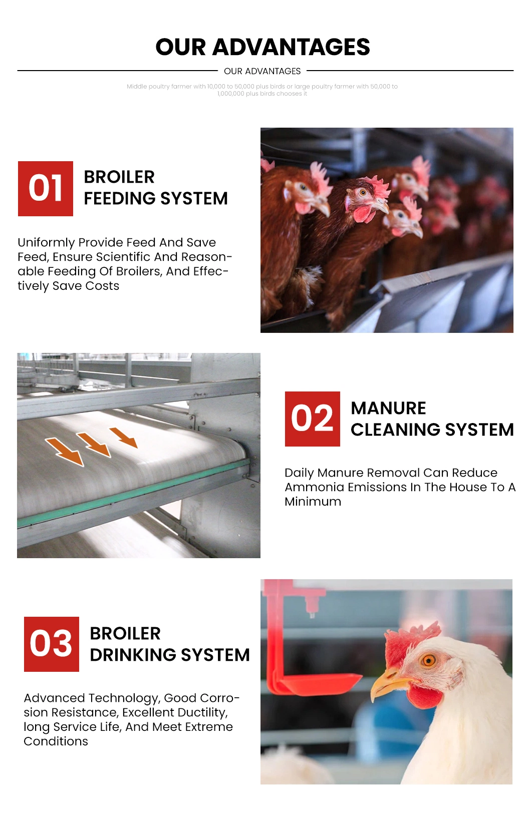 Bestchickencage Broiler Deep Litter System High-Quality China Easy Installation Feature Cage Deep Litter System Manufacturers