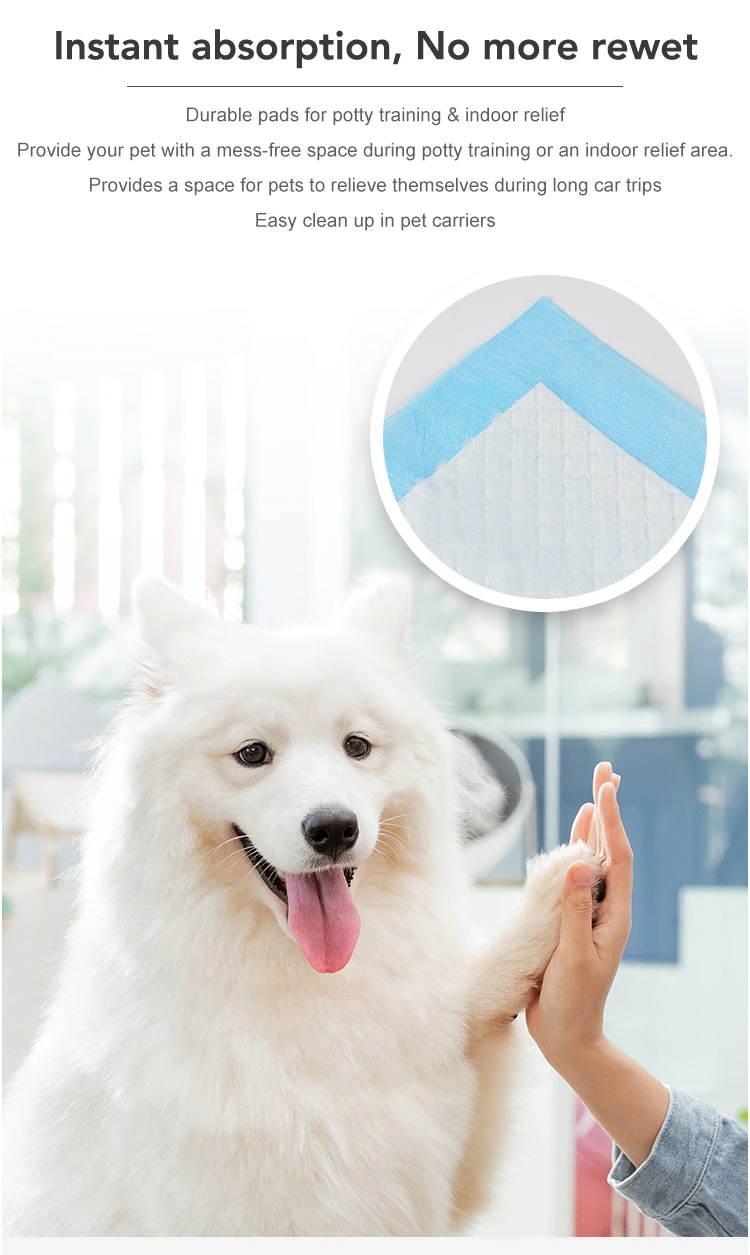 Hayeapet-EU Style Puppy Training Pads Anti-Slip Bottom Pet Dog Pads Models