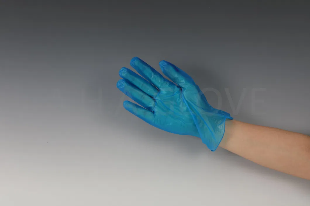 Disposable Blue Hand Protective Powder Free Vinyl Gloves Blend Synthetic Glove