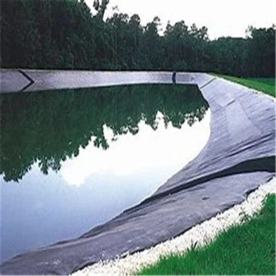 Laghetto Geomembranes Fish Liner da 1 mm in HDPE di alta qualità