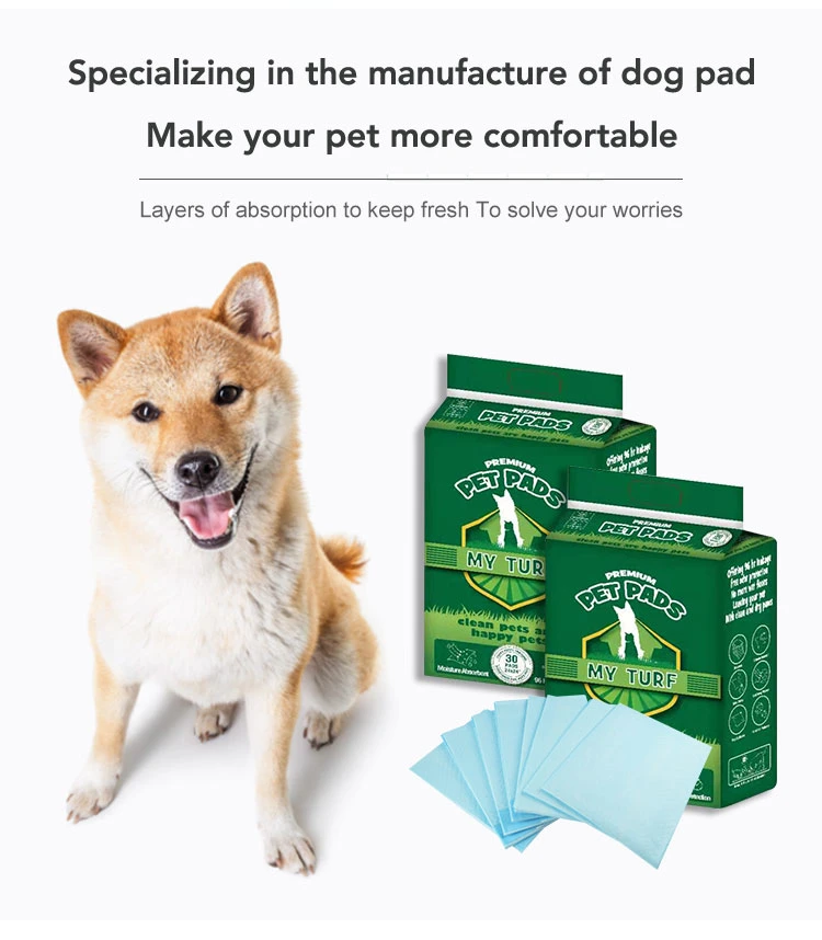 Pet Dog and Puppy Training Pads Anti-Slip Bottom Puppy Dog Pads Models EU Style