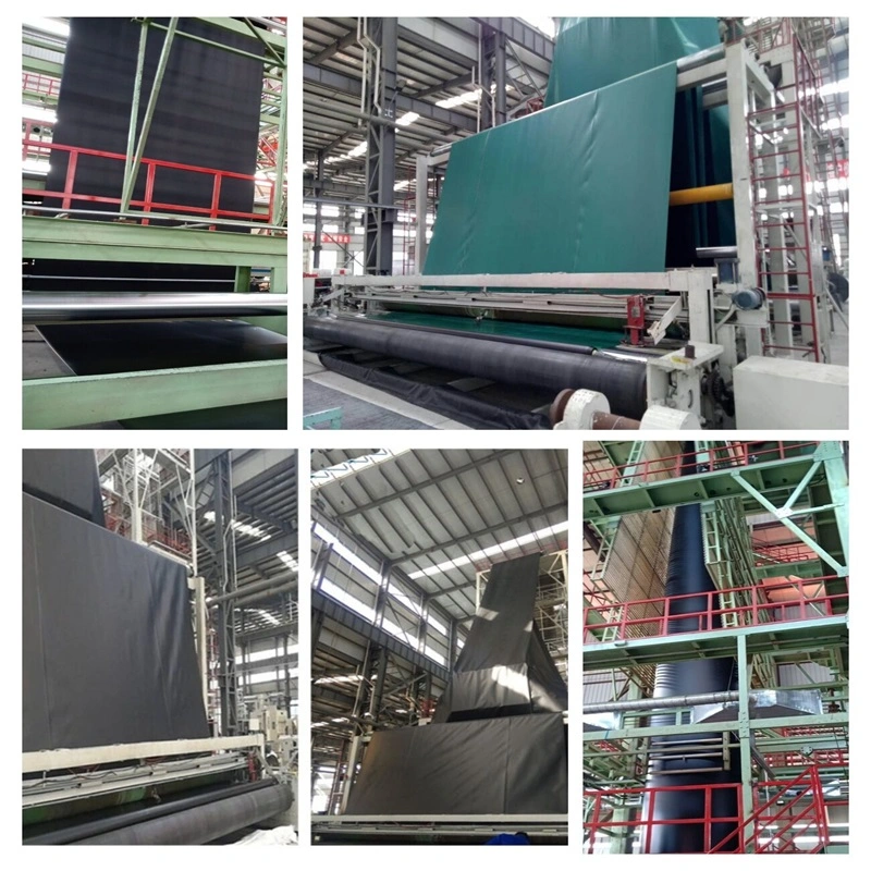 Obor HDPE Geomembrane for Aquaculture Fish Shrimp Pond Lining