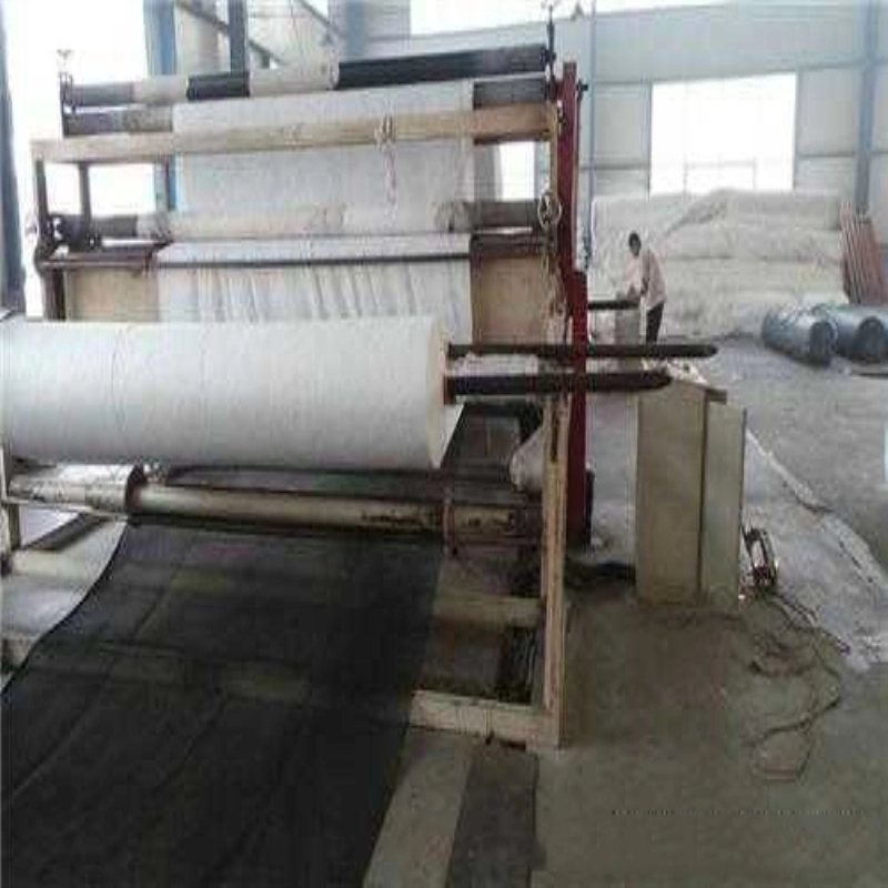 High Quality HDPE Composite Geotextile China Drainage Mat Board Building Material Geonet with Animal Husbandry