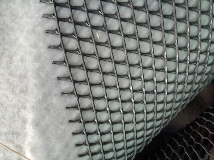 High Quality HDPE Composite Geotextile China Drainage Mat Board Building Material Geonet with Animal Husbandry