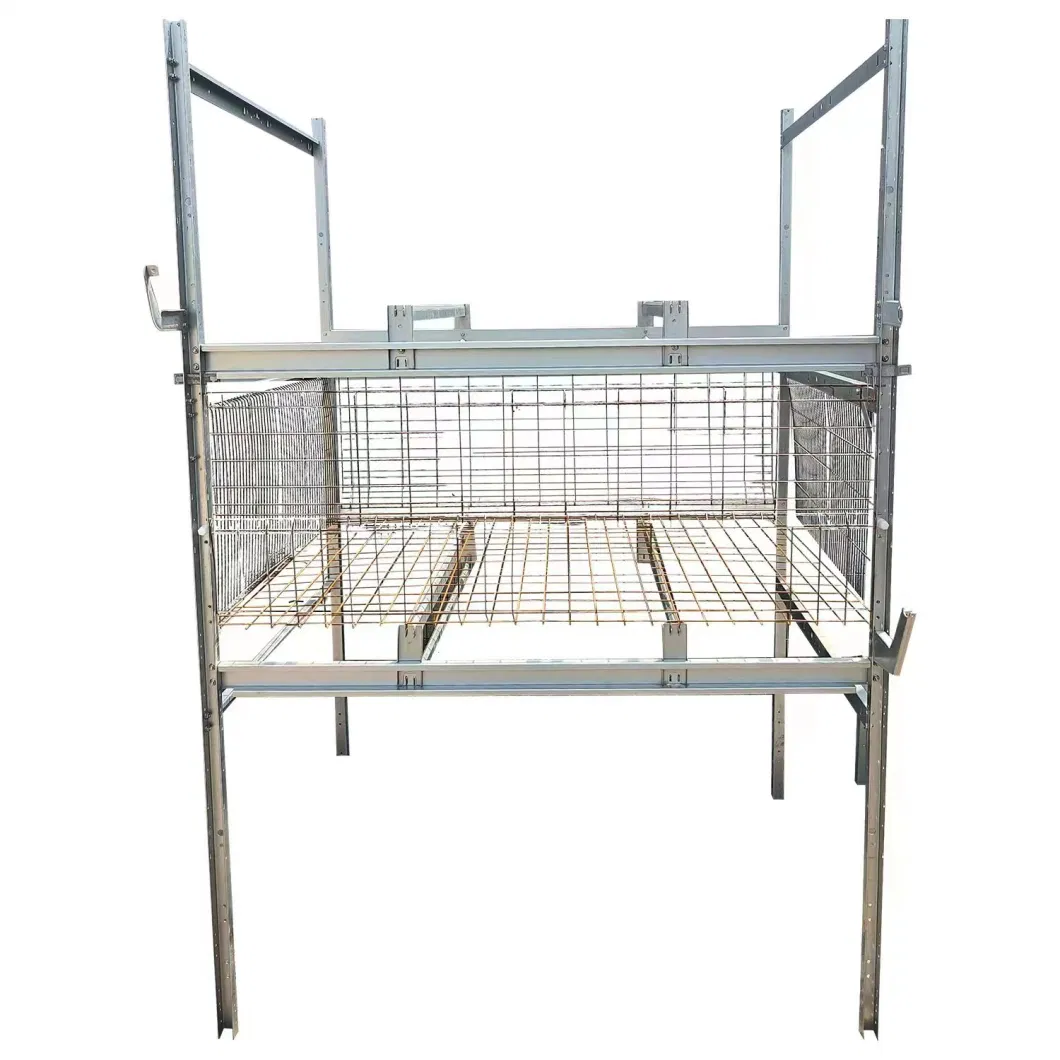 Poultry Farming Equipment Broiler Chicken Breeding Cage Automatic Manure Removal for Sale