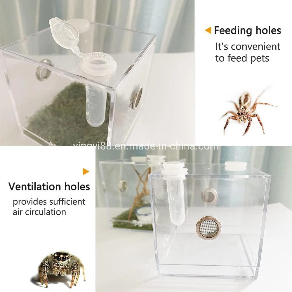 Clear Acrylic Reptile Breeding Box Spider Insect Terrarium Cage