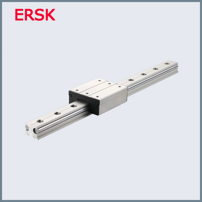 Sample Customization Anti Reverse Bearing Sgr20n CNC Linear Guide Rail