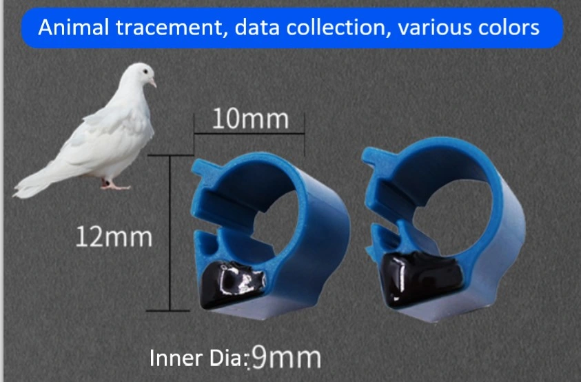 Animal Tracking for Chicken Foot and Pigeon 125 kHz Animal RFID Tag