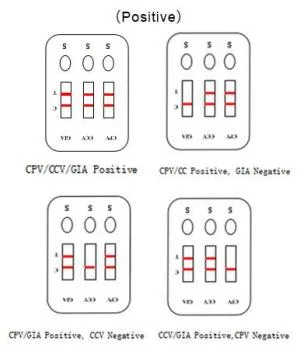 Diagnostic Rapid Test Veterinary Cpv/Ccv/Giardia Pet Combo Tests Canine Parvovirus Tests Kits