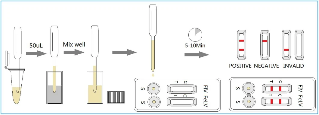 Fiv Felv Test Feline Immunodeficiency Virus Leukemia Rapid Diagnostic Test