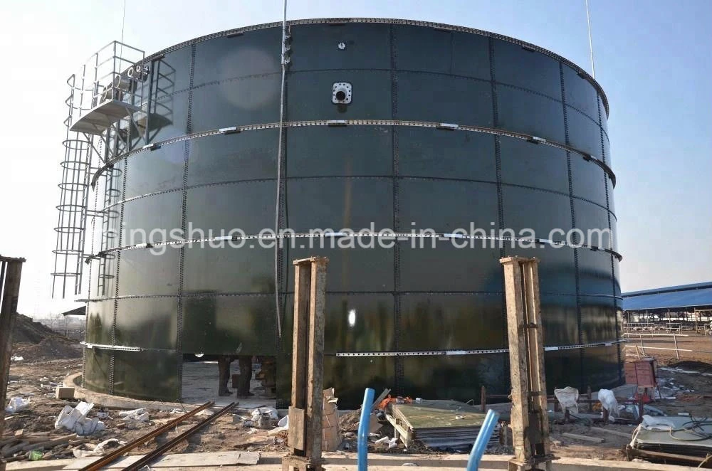 Organic Animal Feces Treatment Digester Tank