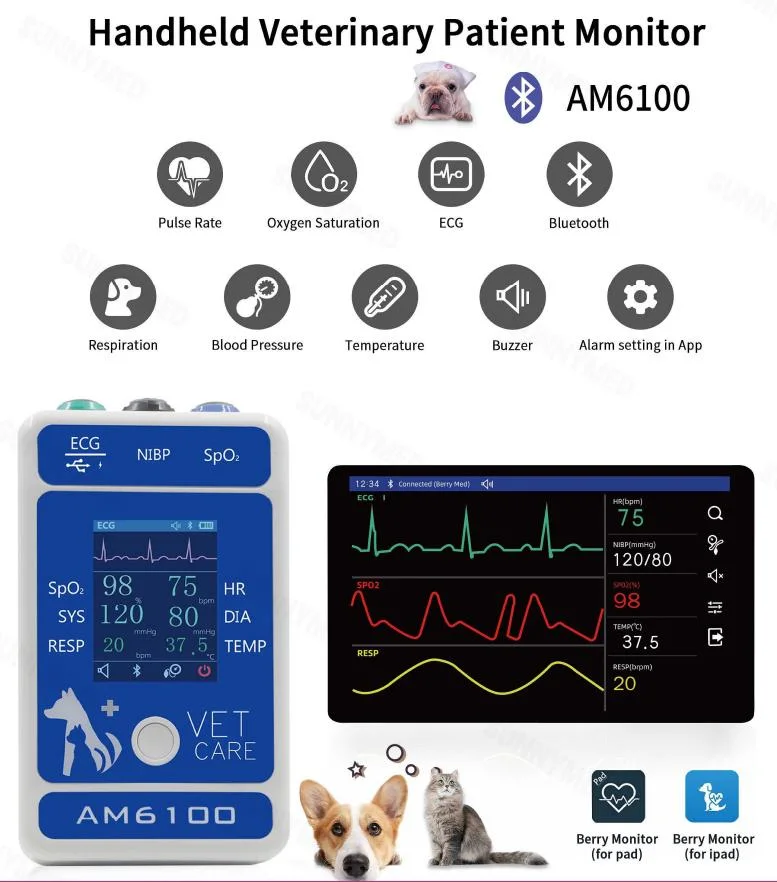 Sy-Am6100 Cost-Effective Veterinary Surgical Monitor Advanced Technology Patient Monitor