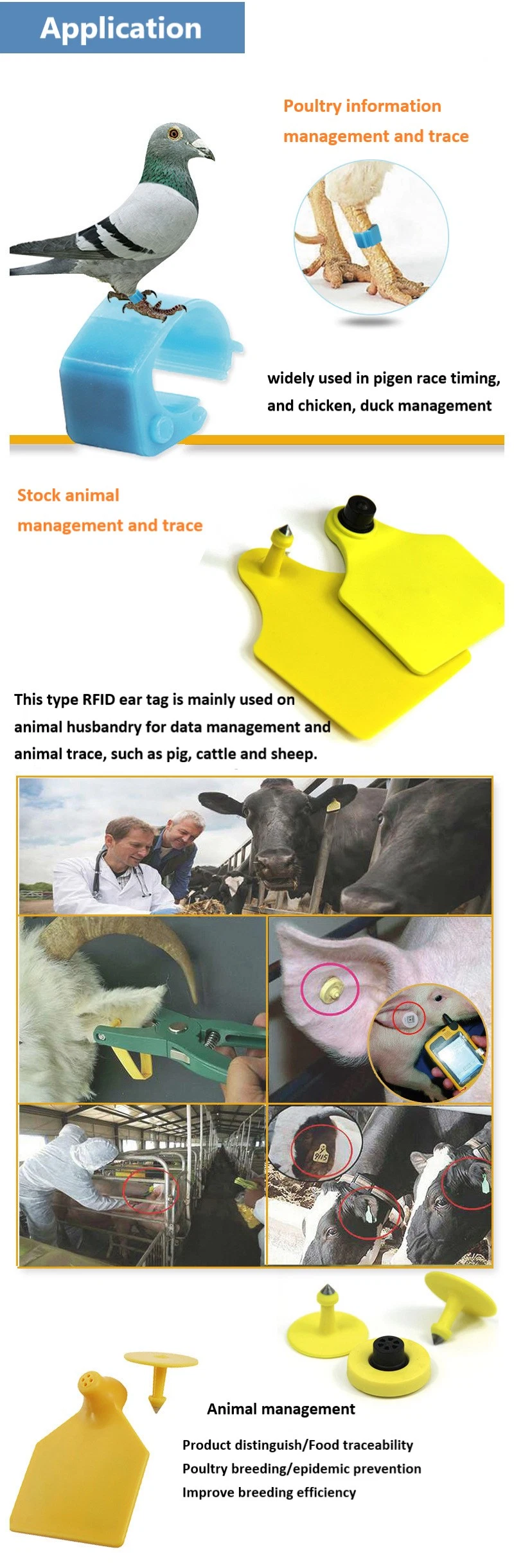 Animal Tracking for Chicken Foot and Pigeon 125 kHz Animal RFID Tag