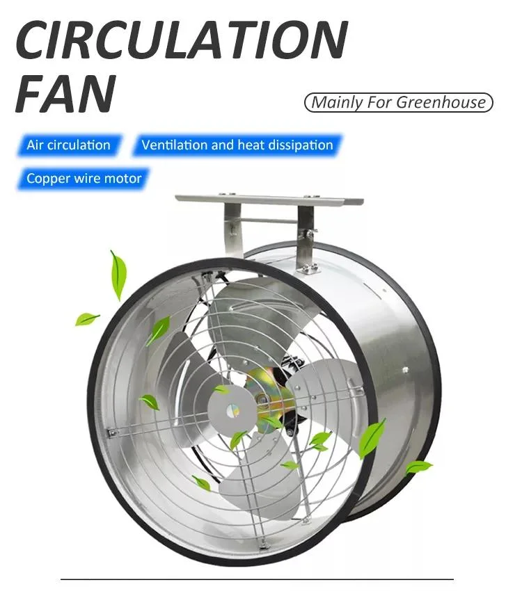 Circulation Ventilation Fan/Air Cooler/Animal Husbandry Equipment for Greenhouse