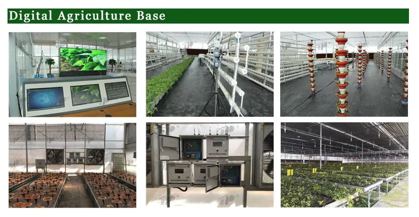 New Type Guaranteed Quality Tree Diameter Gauge