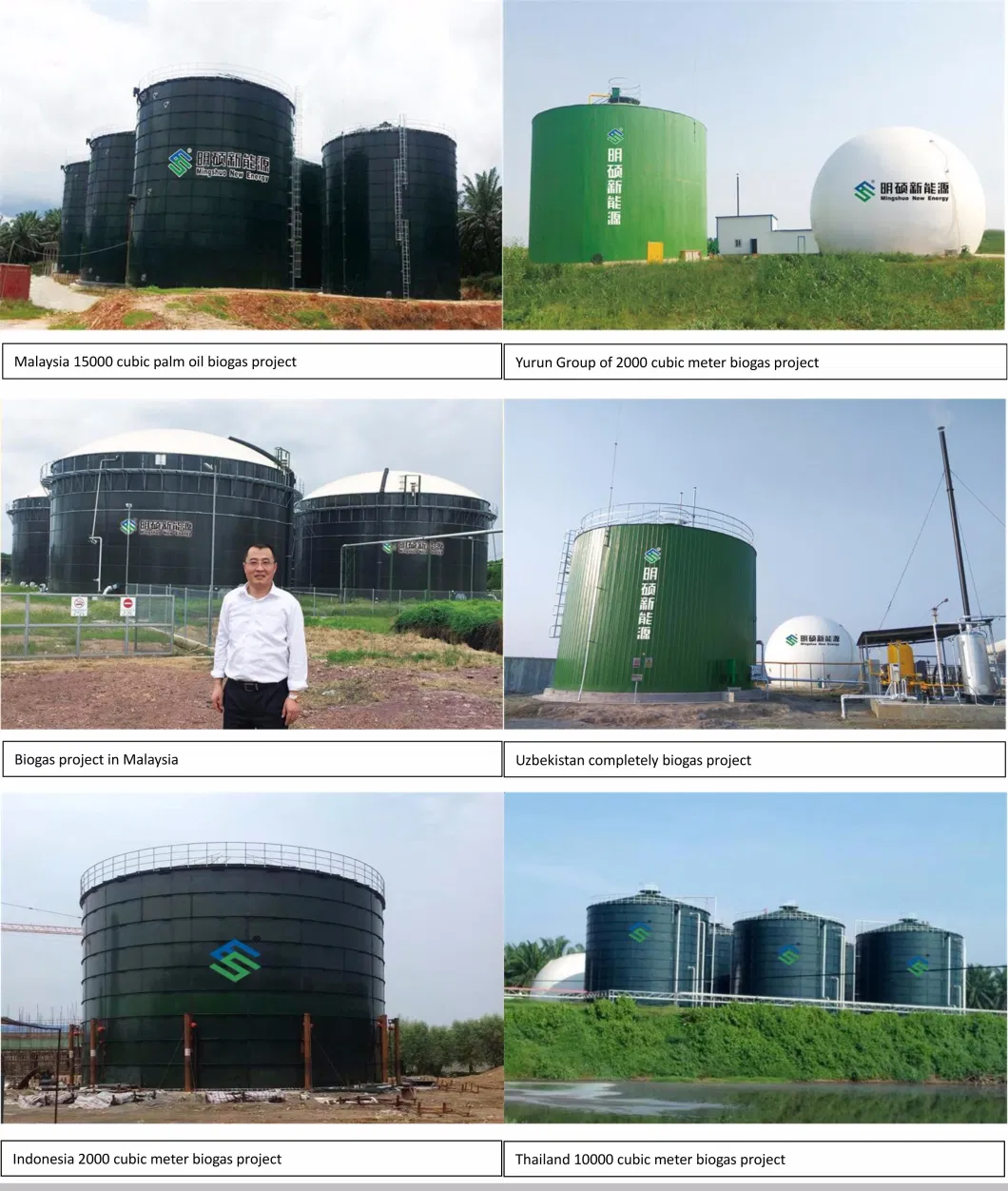 Organic Animal Feces Treatment Digester Tank