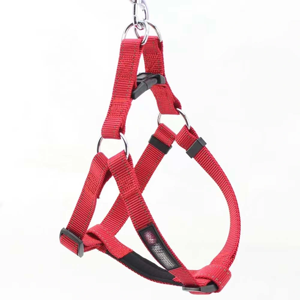 Fashionable Nylon Plastic Network Red Teddy Dog Leash for Pets