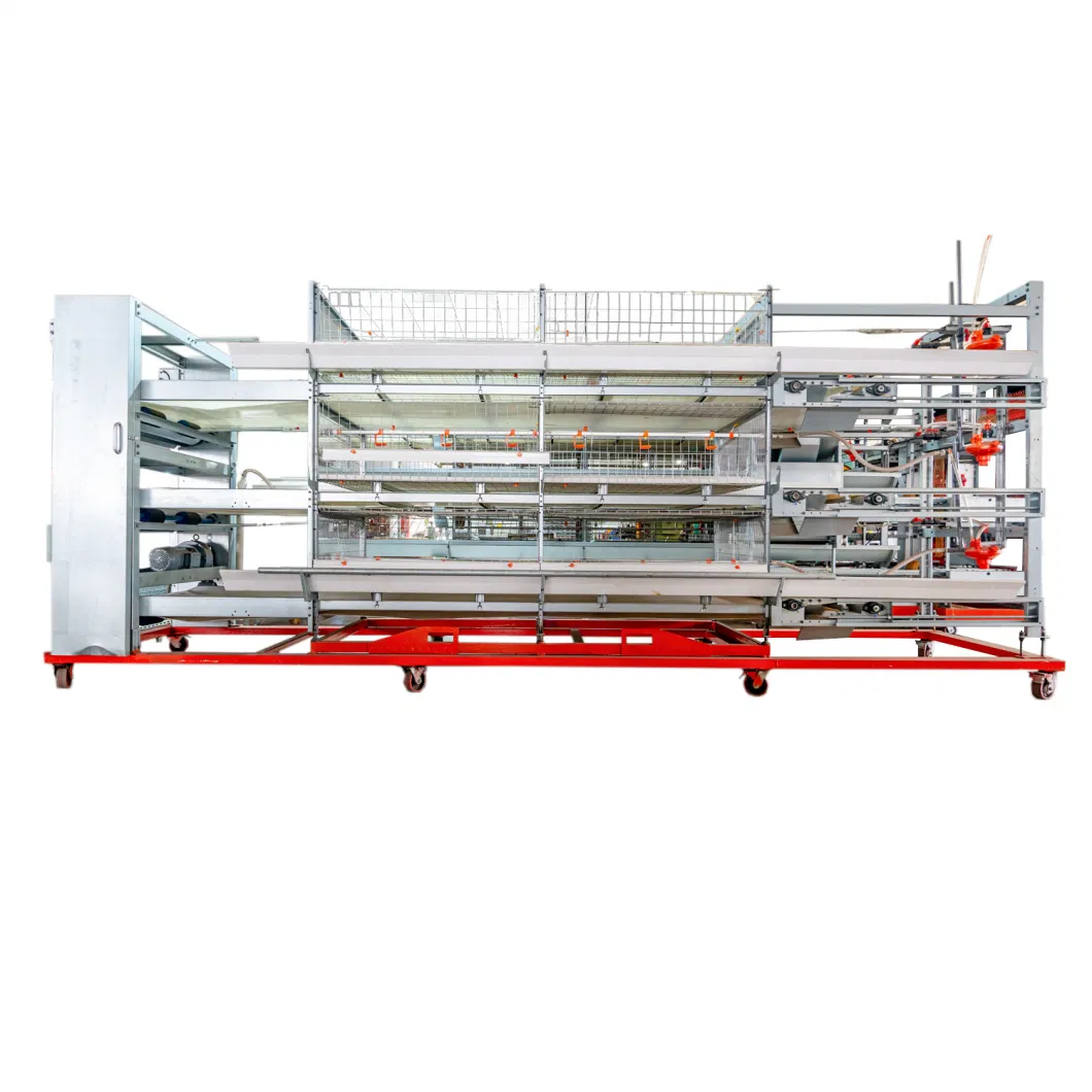 Poultry Farming Equipment Broiler Chicken Breeding Cage Automatic Manure Removal for Sale