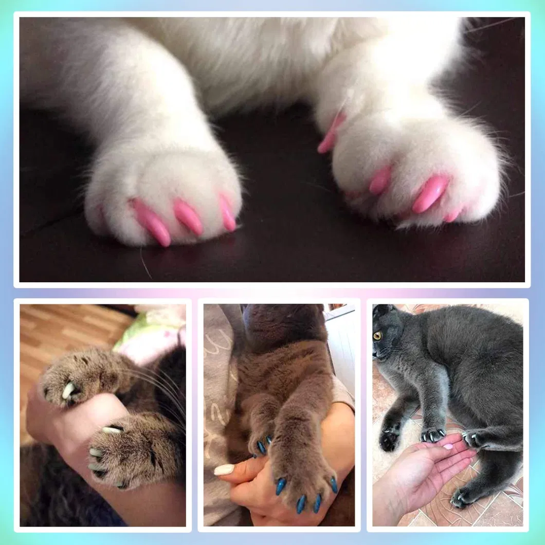 Wholesale Price Nail Tips Pet Soft Claws Covers Colorful Nail Glue Covers for Animal Claws Care with Glue Plastic Bottle