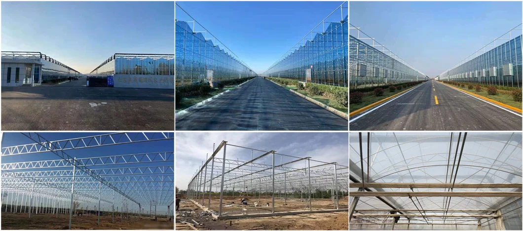 Multi-Span Hot Dipped Galvanized 200 Micro Film Greenhouse