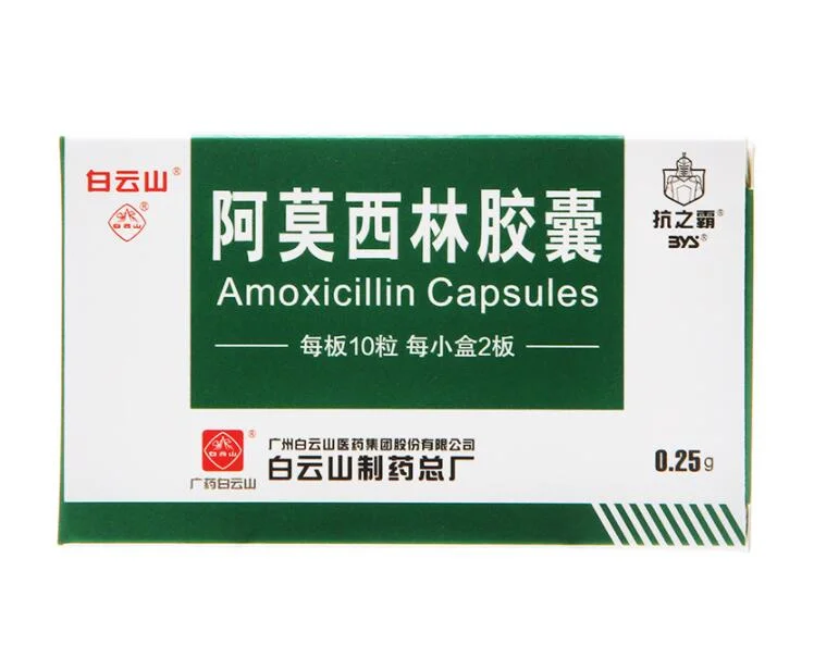 Amoxicillin Capsule for Lower Respiratory Tract Infections Such as Acute Bronchitis and Pneumonia Caused by Streptococcus Hemolytic