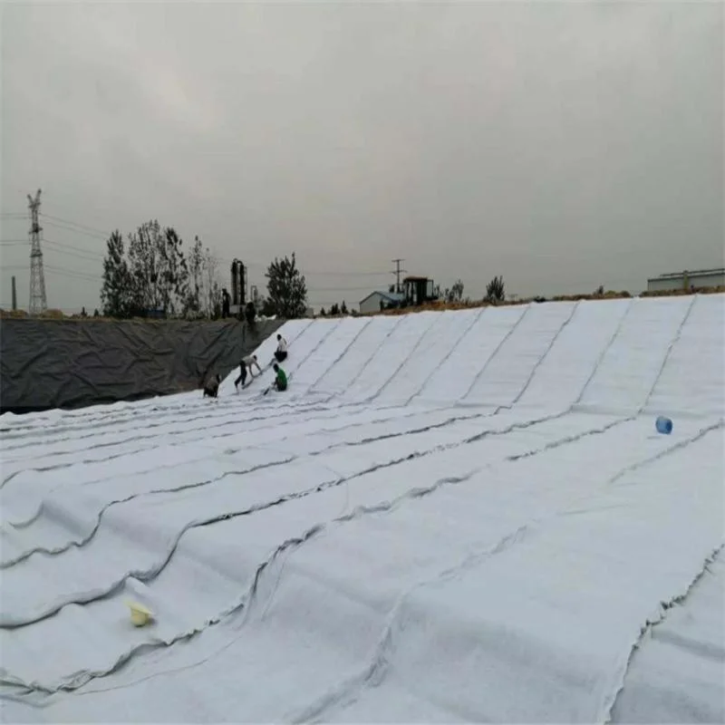 High Quality HDPE Composite Geotextile China Drainage Mat Board Building Material Geonet with Animal Husbandry